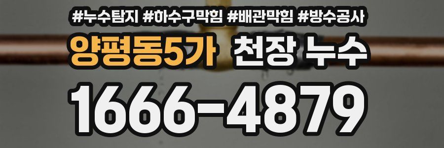 양평동5가 천장 누수