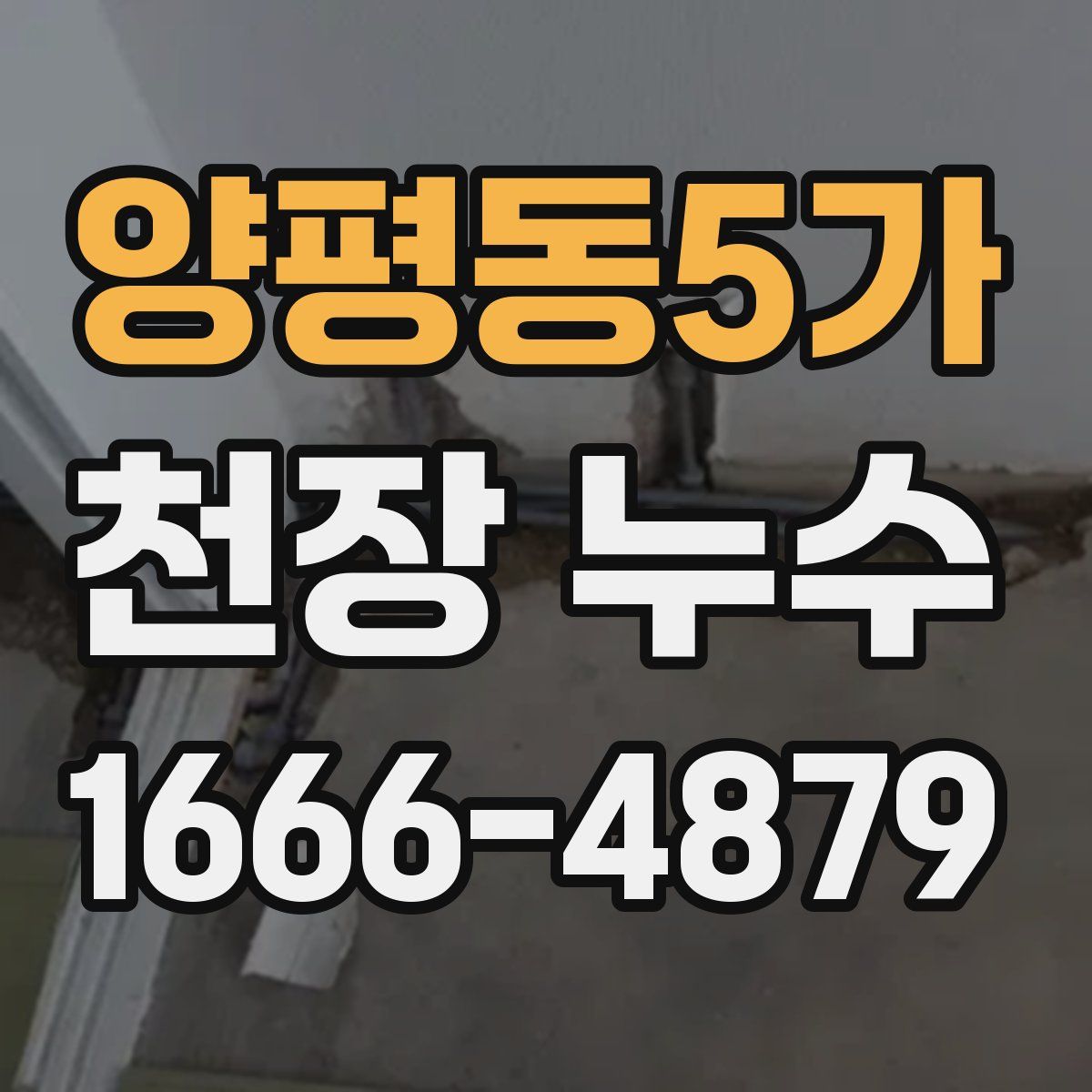 양평동5가 천장 누수