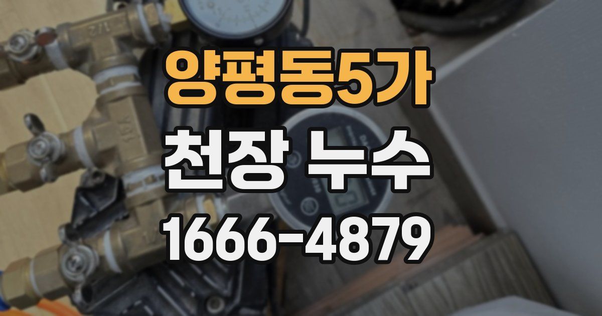 양평동5가 천장 누수