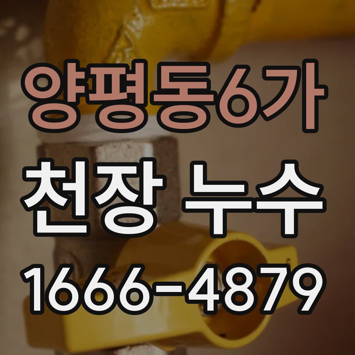 양평동6가 천장 누수