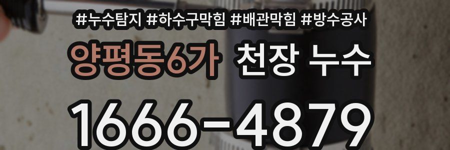 양평동6가 천장 누수
