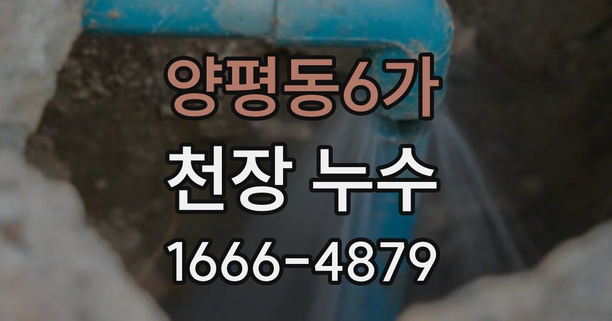 양평동6가 천장 누수