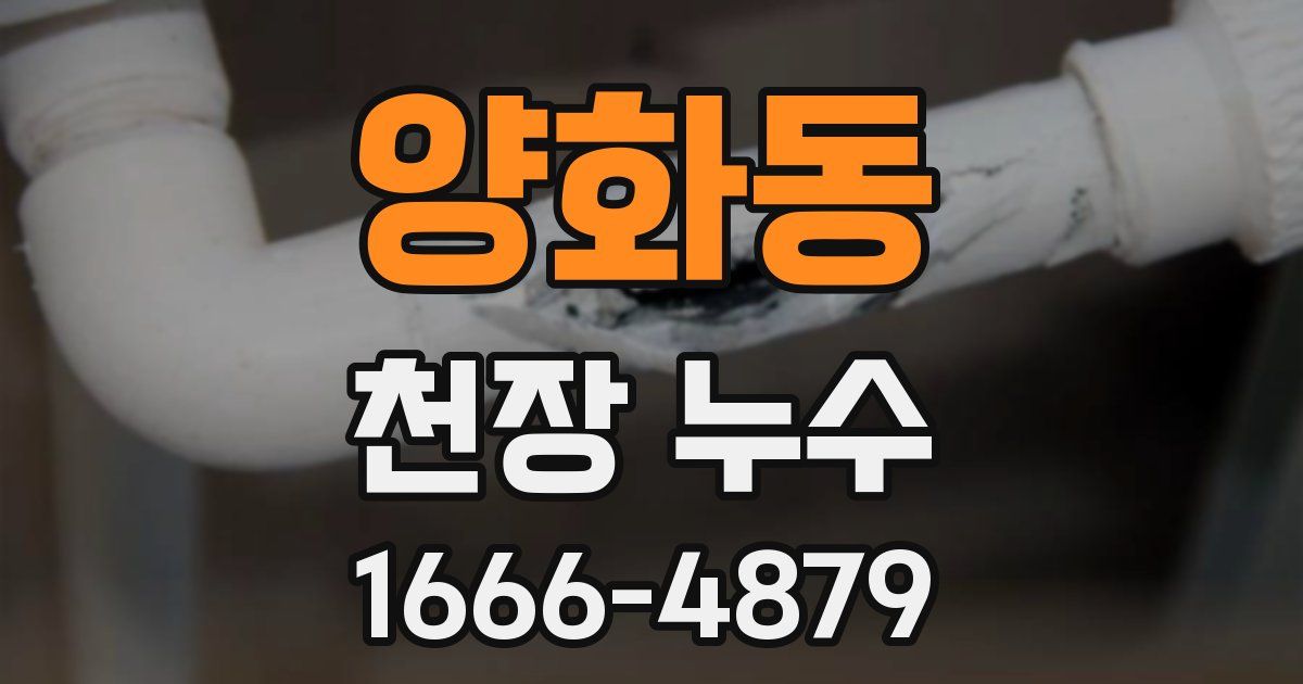 양화동 천장 누수