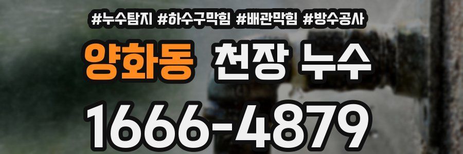 양화동 천장 누수