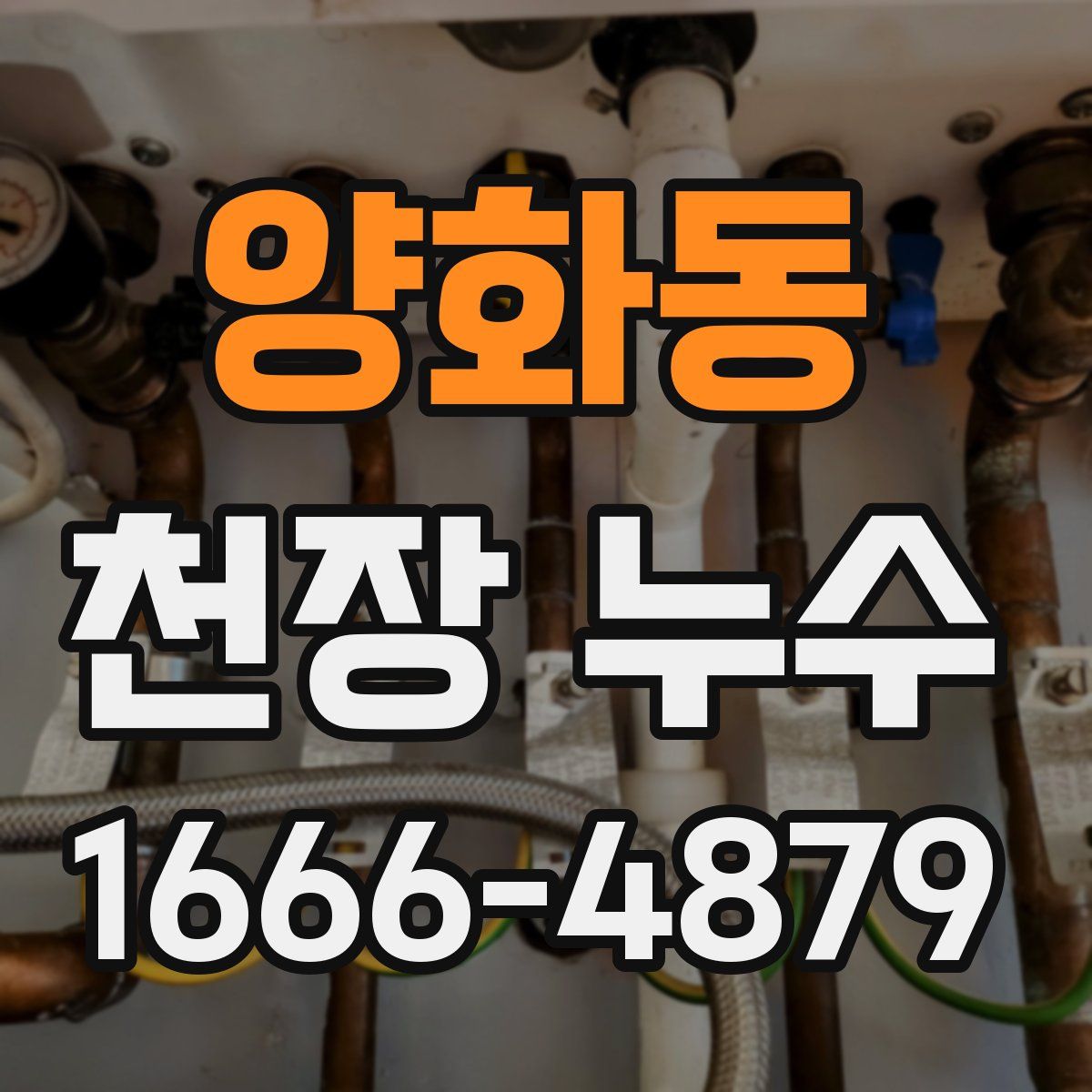 양화동 천장 누수