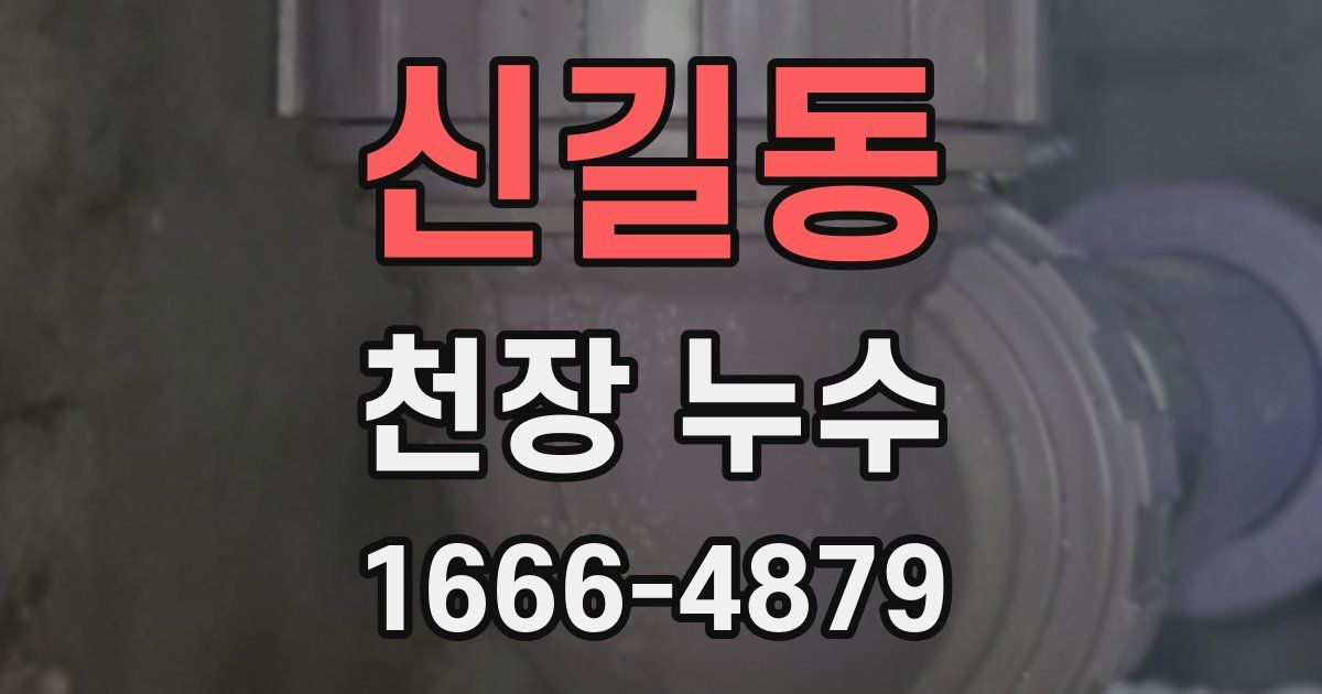 신길동 천장 누수