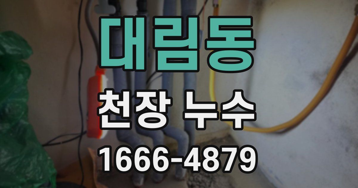 대림동 천장 누수