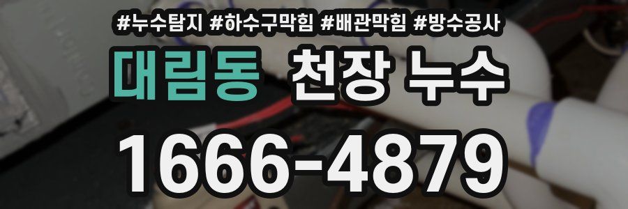 대림동 천장 누수
