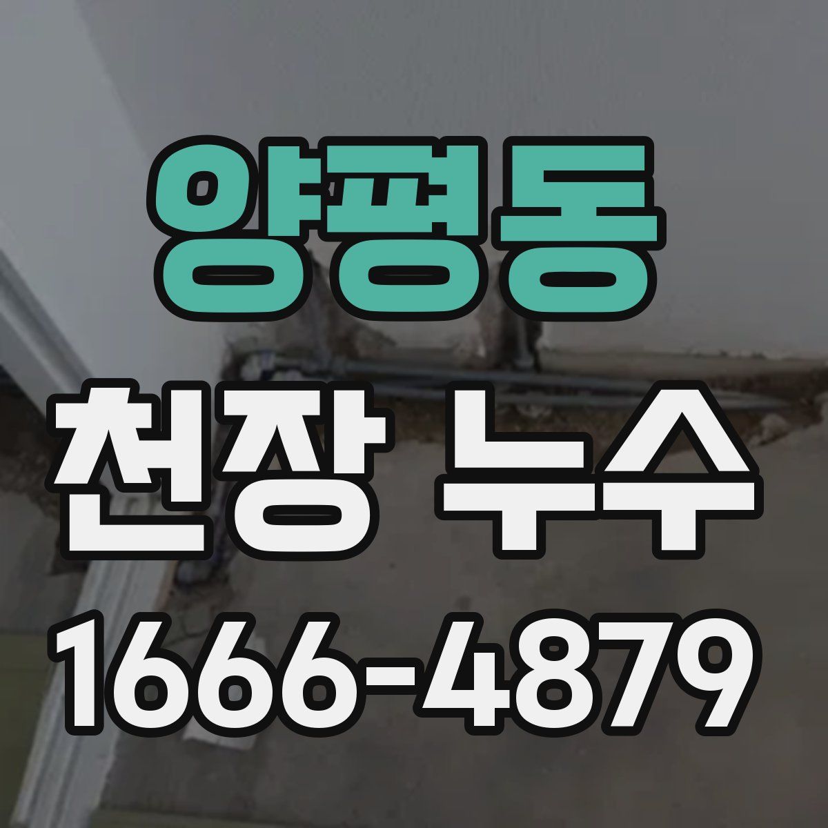 양평동 천장 누수