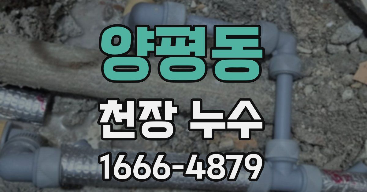양평동 천장 누수