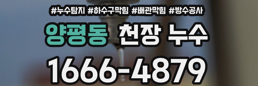 양평동 천장 누수