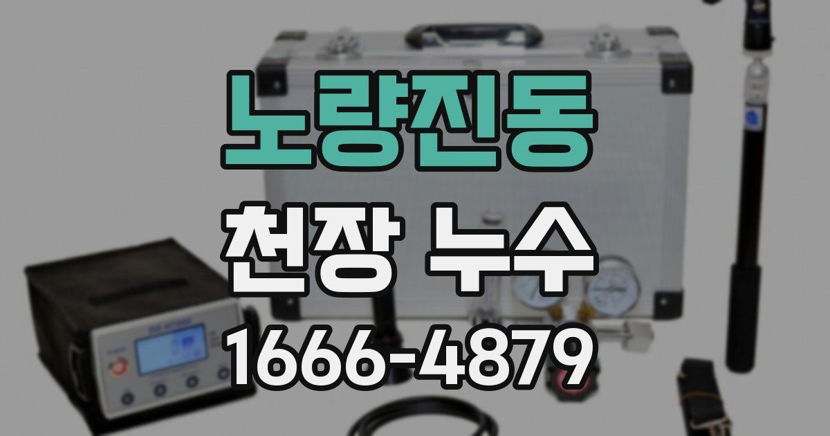 노량진동 천장 누수