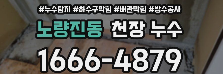 노량진동 천장 누수