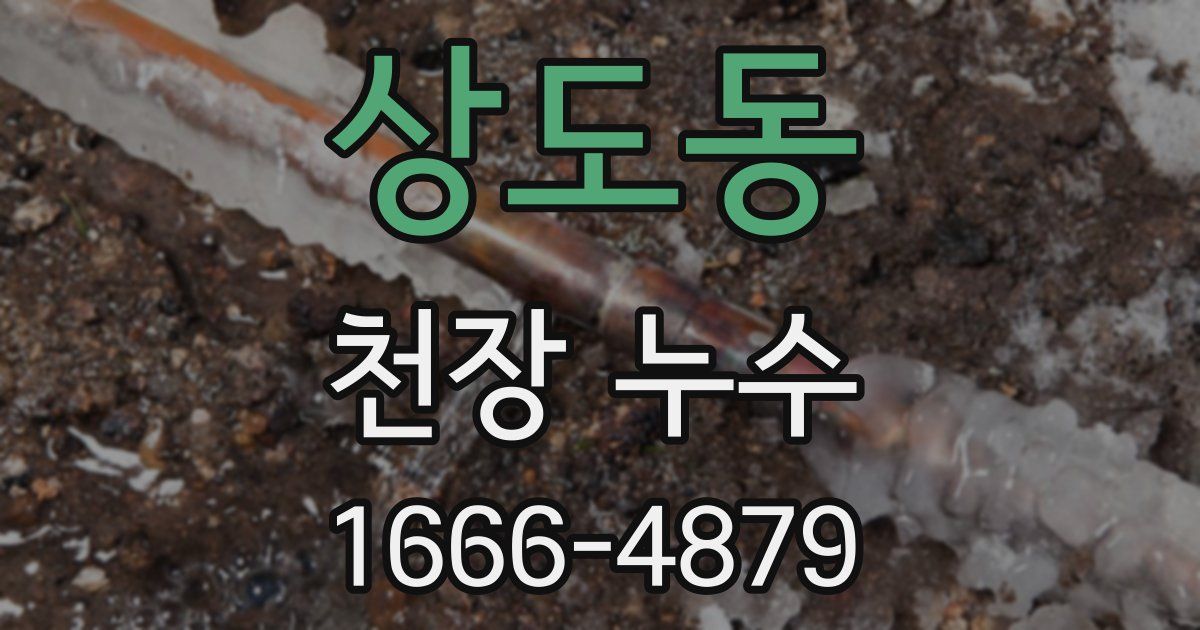 상도동 천장 누수