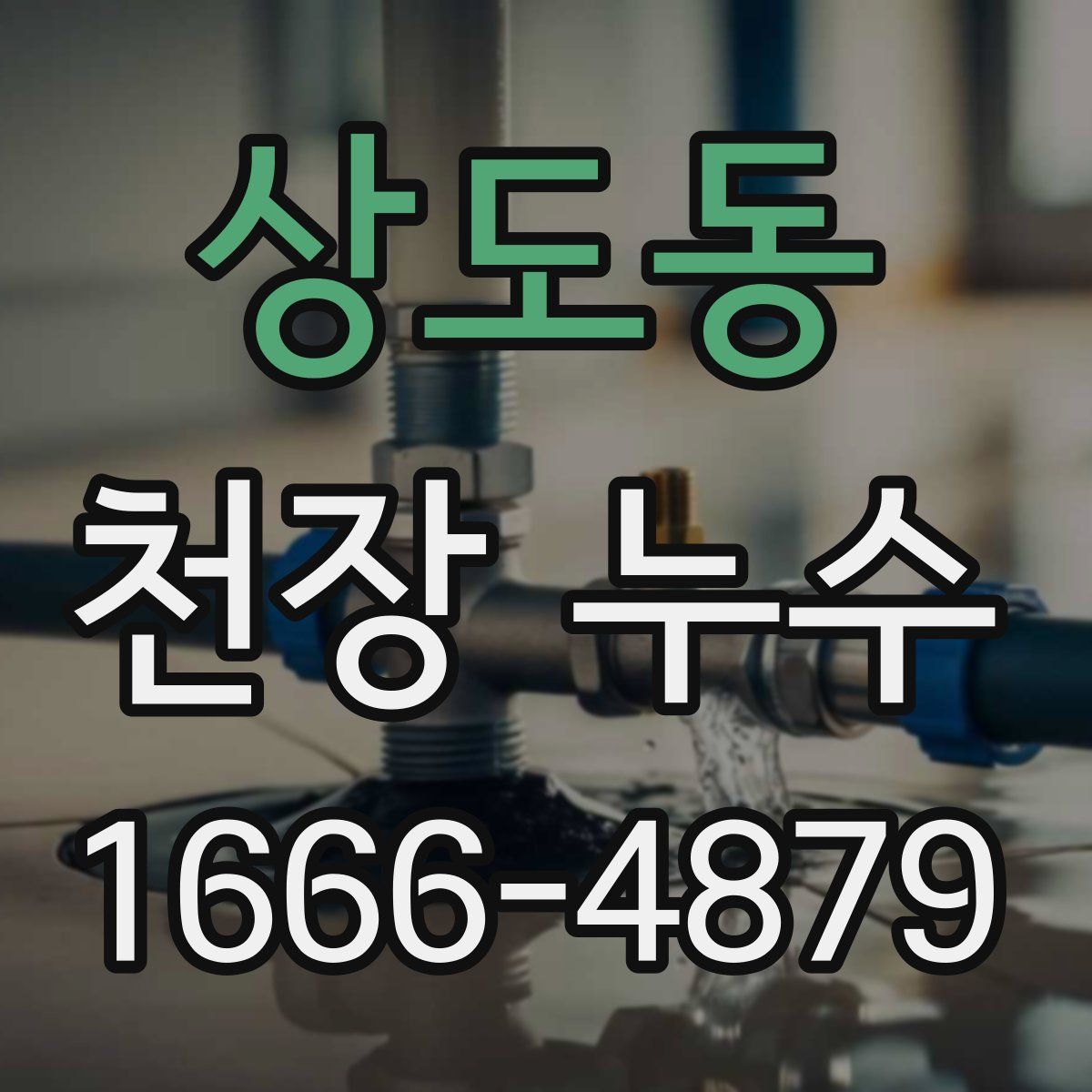 상도동 천장 누수