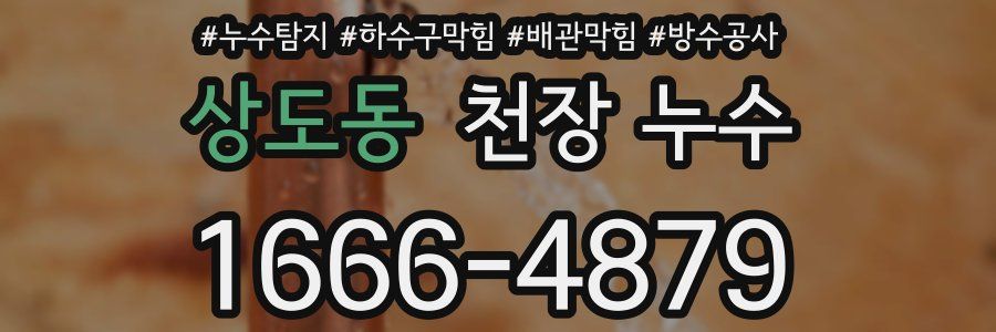 상도동 천장 누수