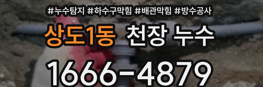 상도1동 천장 누수
