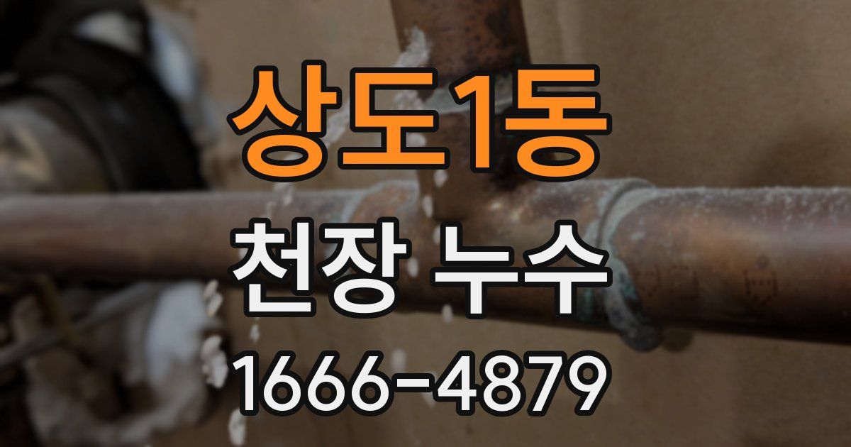 상도1동 천장 누수