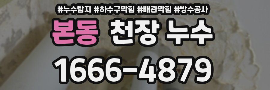 본동 천장 누수