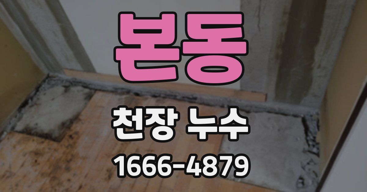 본동 천장 누수