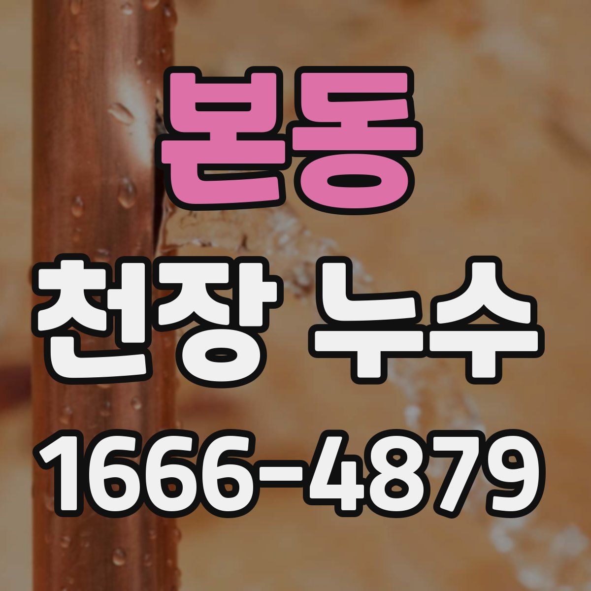 본동 천장 누수