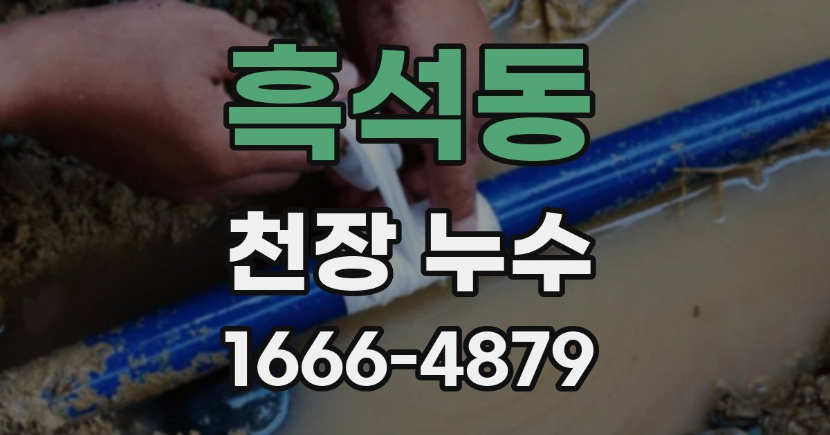 흑석동 천장 누수
