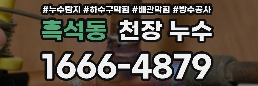 흑석동 천장 누수