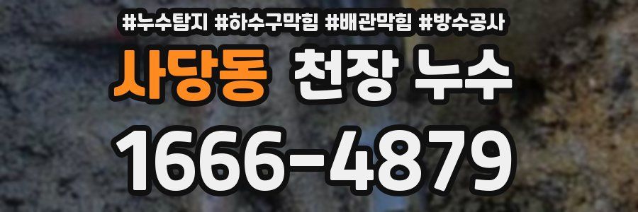 사당동 천장 누수