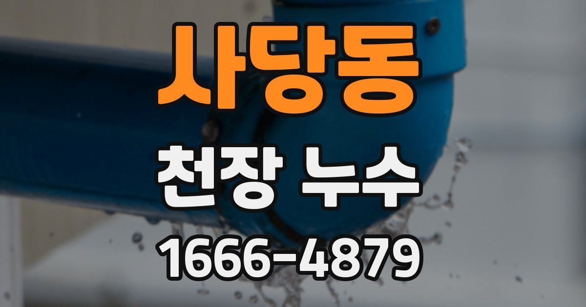 사당동 천장 누수