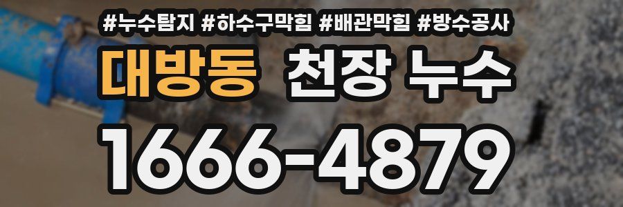 대방동 천장 누수