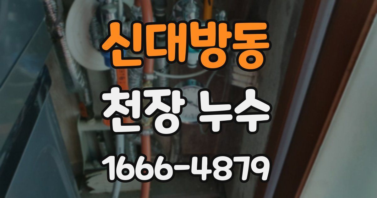 신대방동 천장 누수