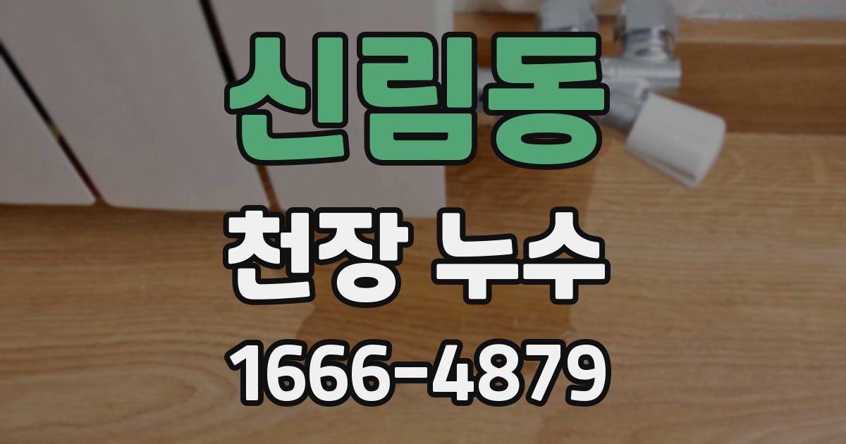 신림동 천장 누수