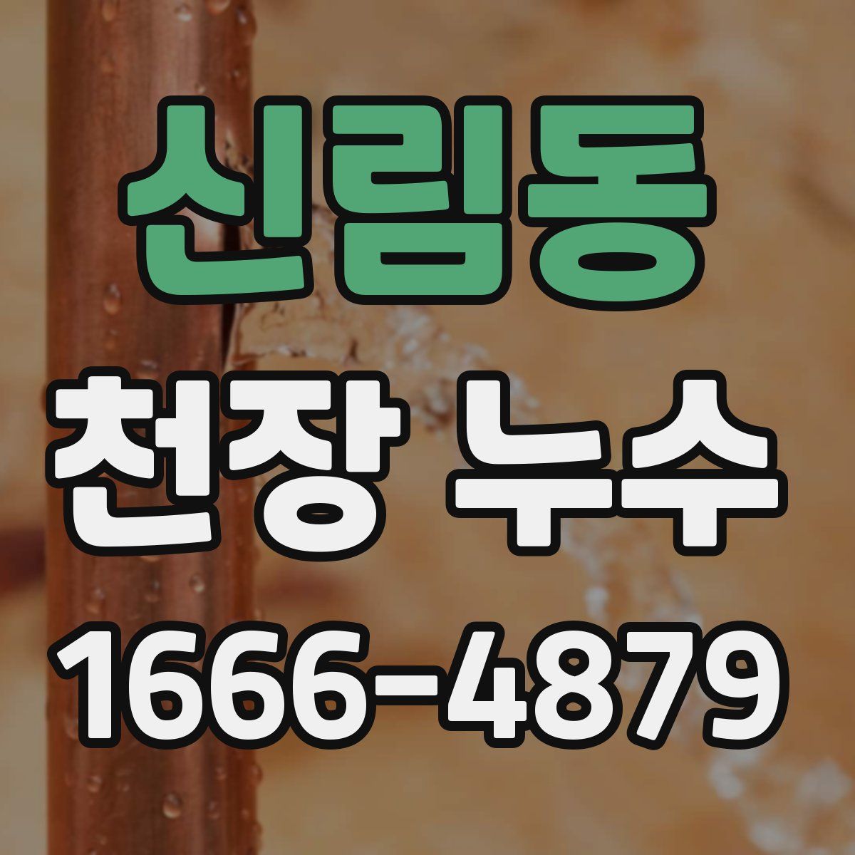 신림동 천장 누수