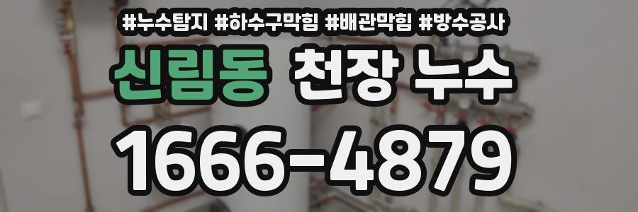 신림동 천장 누수