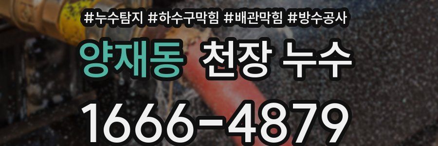 양재동 천장 누수