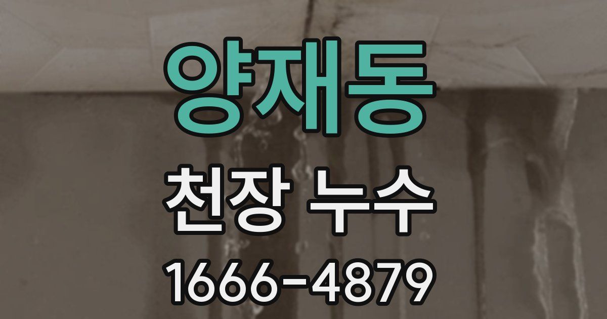 양재동 천장 누수