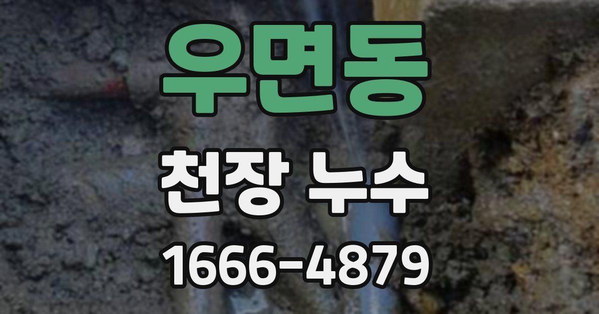 우면동 천장 누수