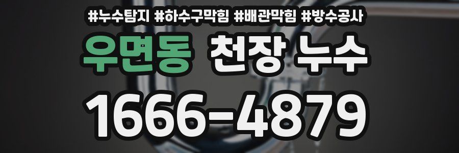 우면동 천장 누수