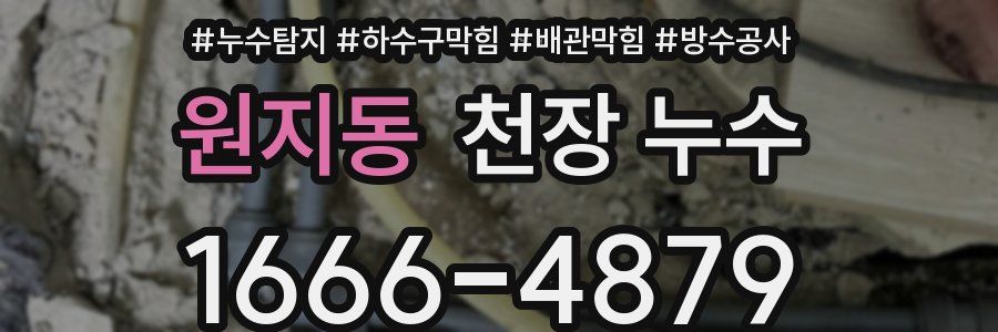 원지동 천장 누수