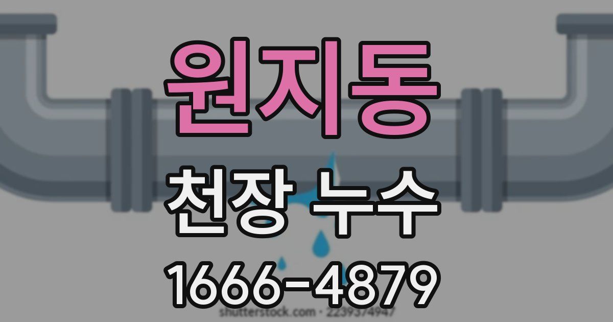 원지동 천장 누수