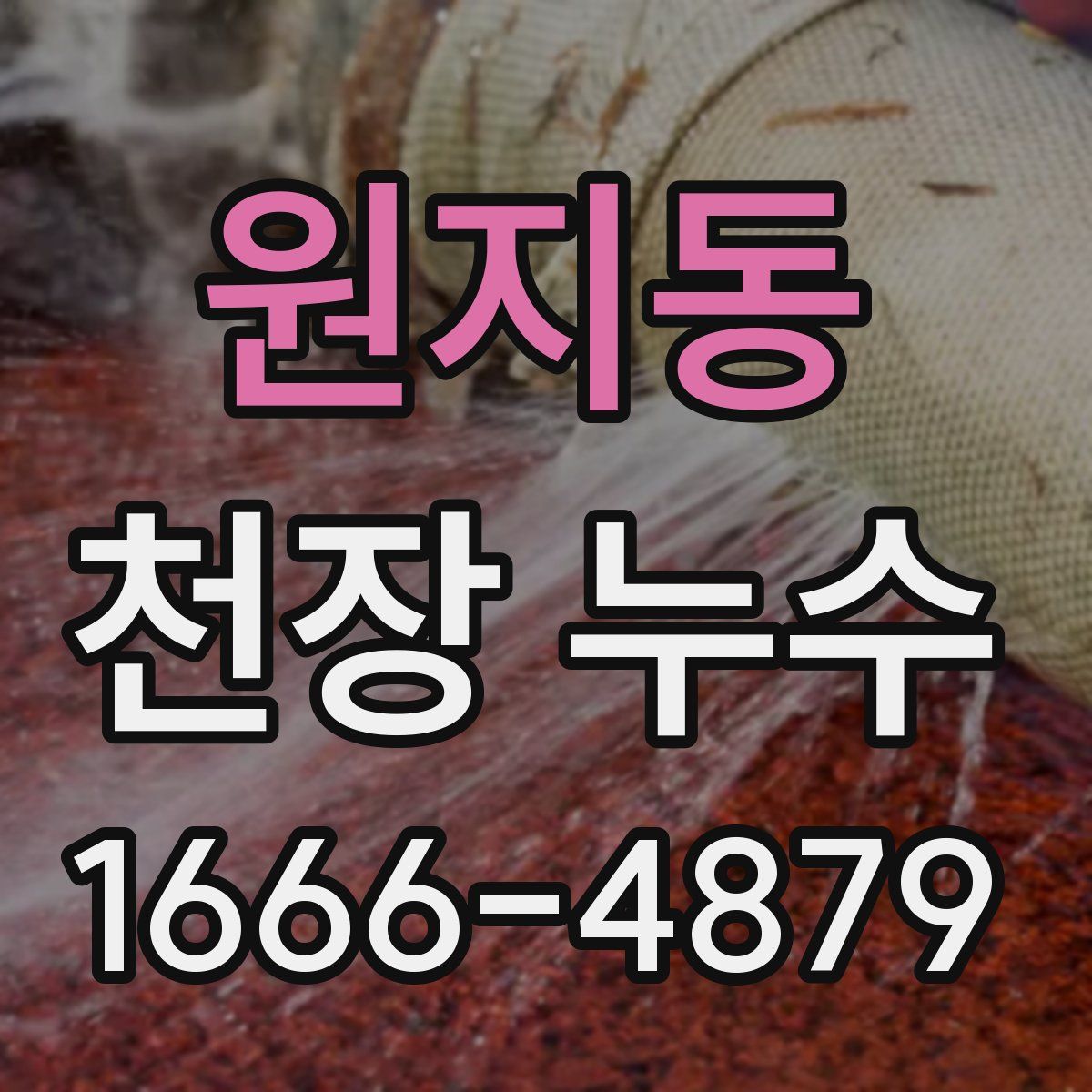 원지동 천장 누수