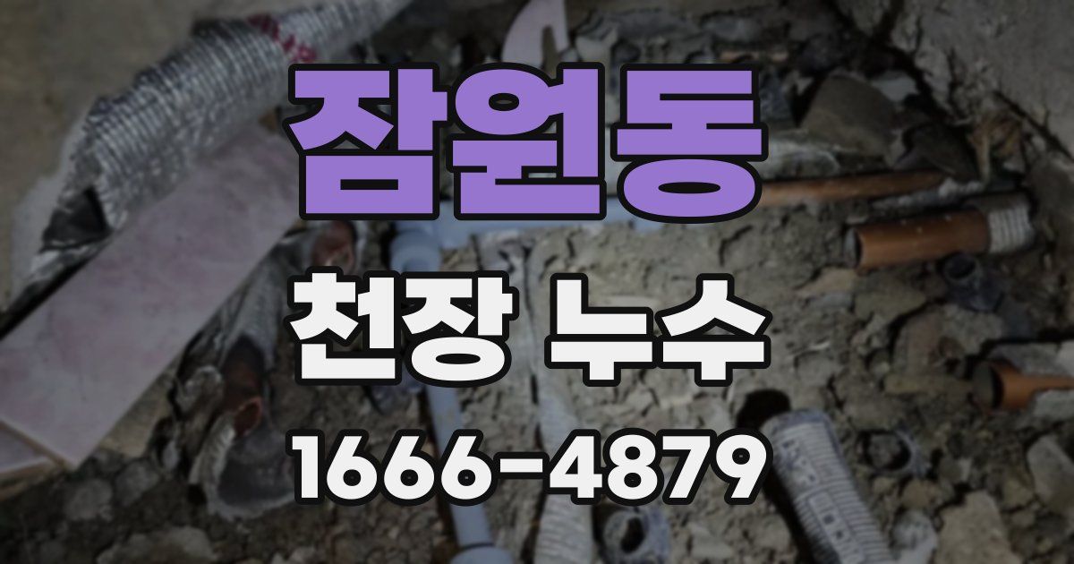 잠원동 천장 누수