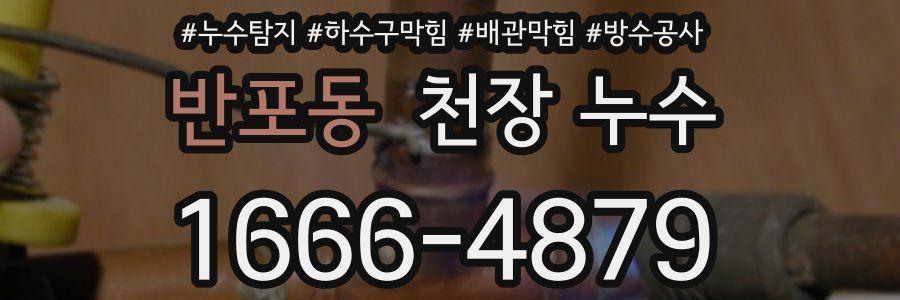 반포동 천장 누수