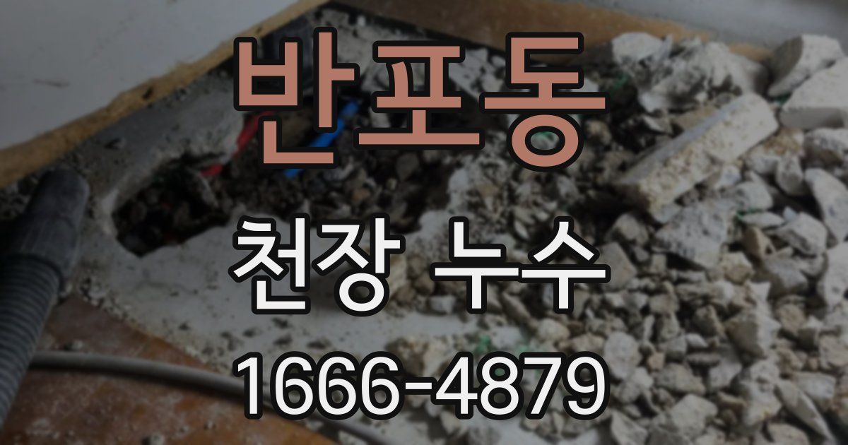 반포동 천장 누수