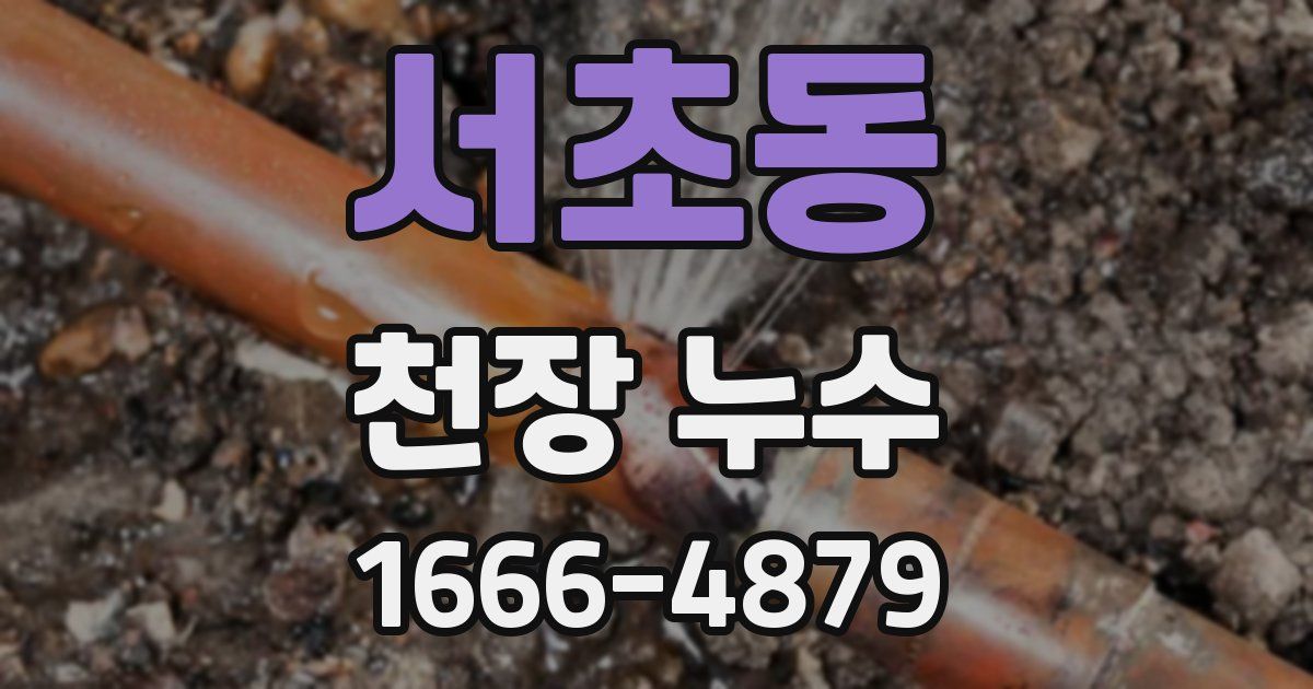 서초동 천장 누수
