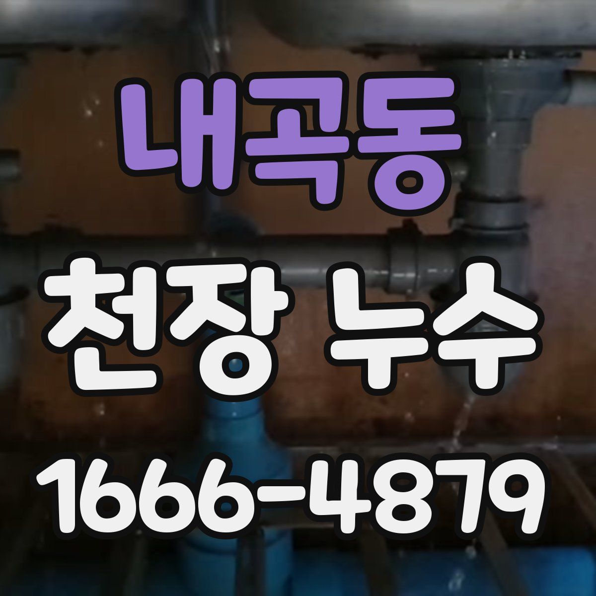 내곡동 천장 누수