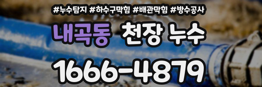 내곡동 천장 누수