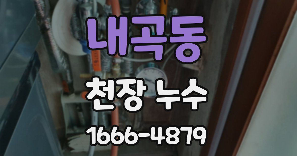 내곡동 천장 누수