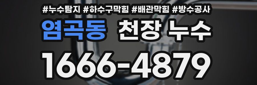 염곡동 천장 누수