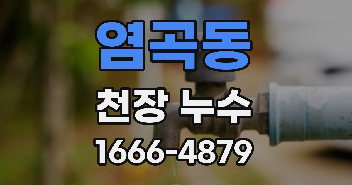 염곡동 천장 누수